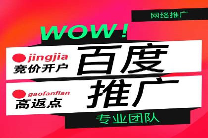 百度推广服务费案例：揭秘企业成功转型之路